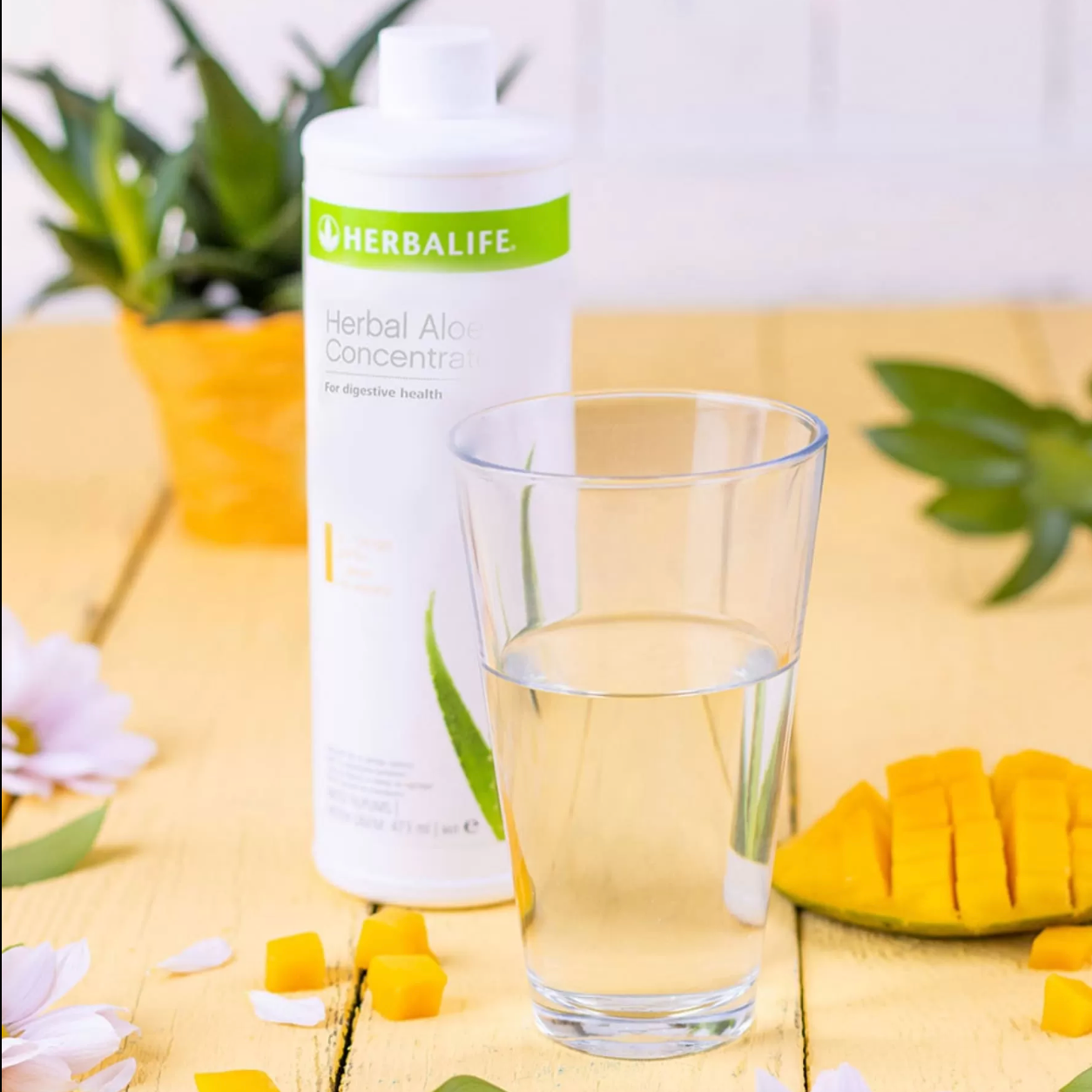 Herbalife Aloe Vera Suyu Mango Aromalı Konsantre 473 Ml