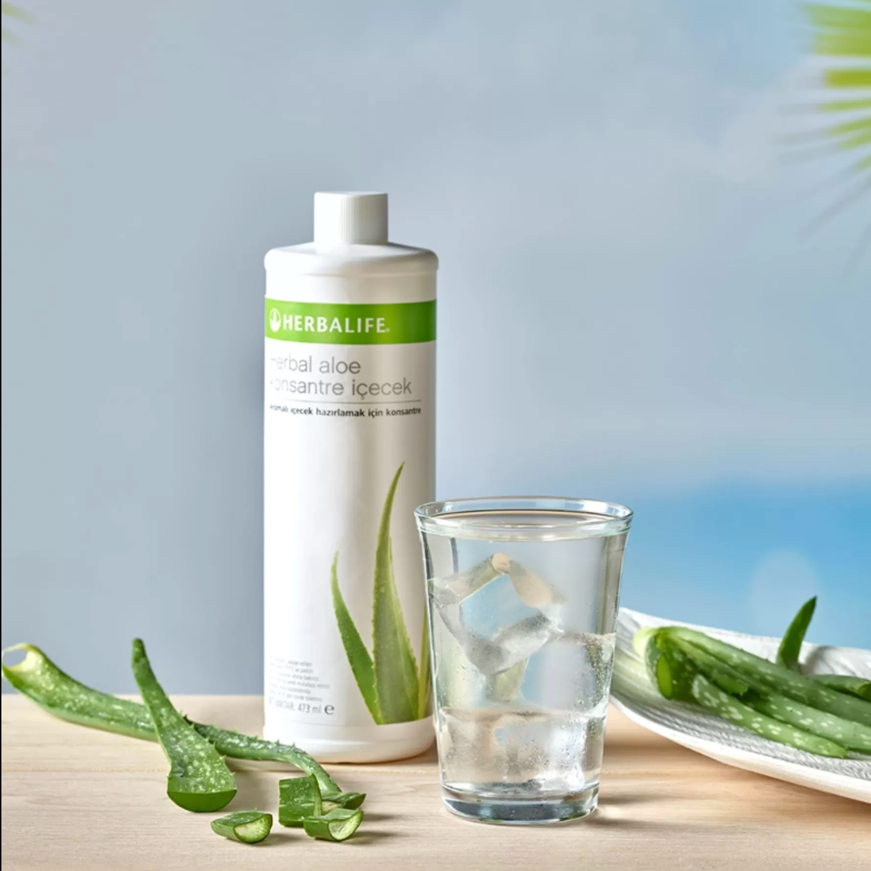 Herbalife Herbal Aloe Vera Suyu Konsantre İçecek 473 ML